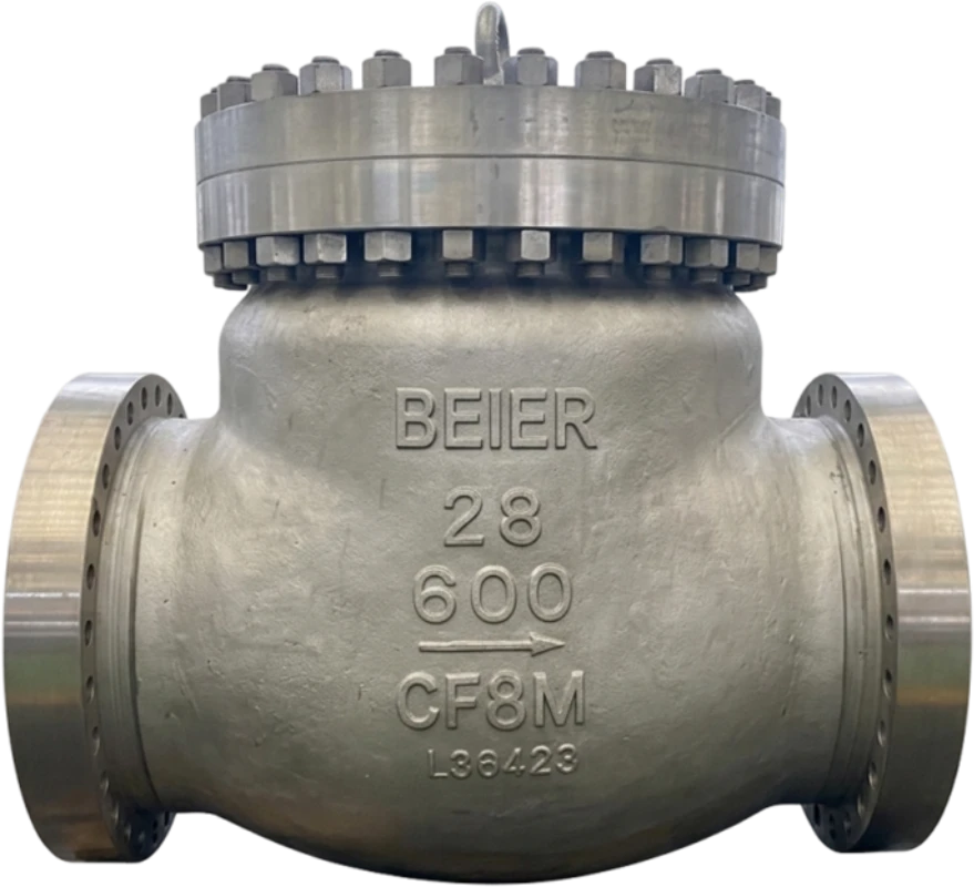 check valves