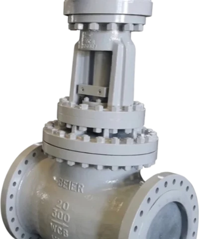 globe valves