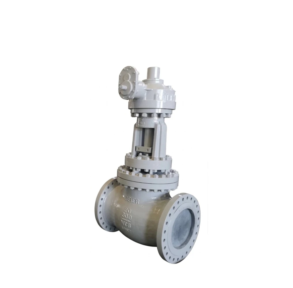 globe valve