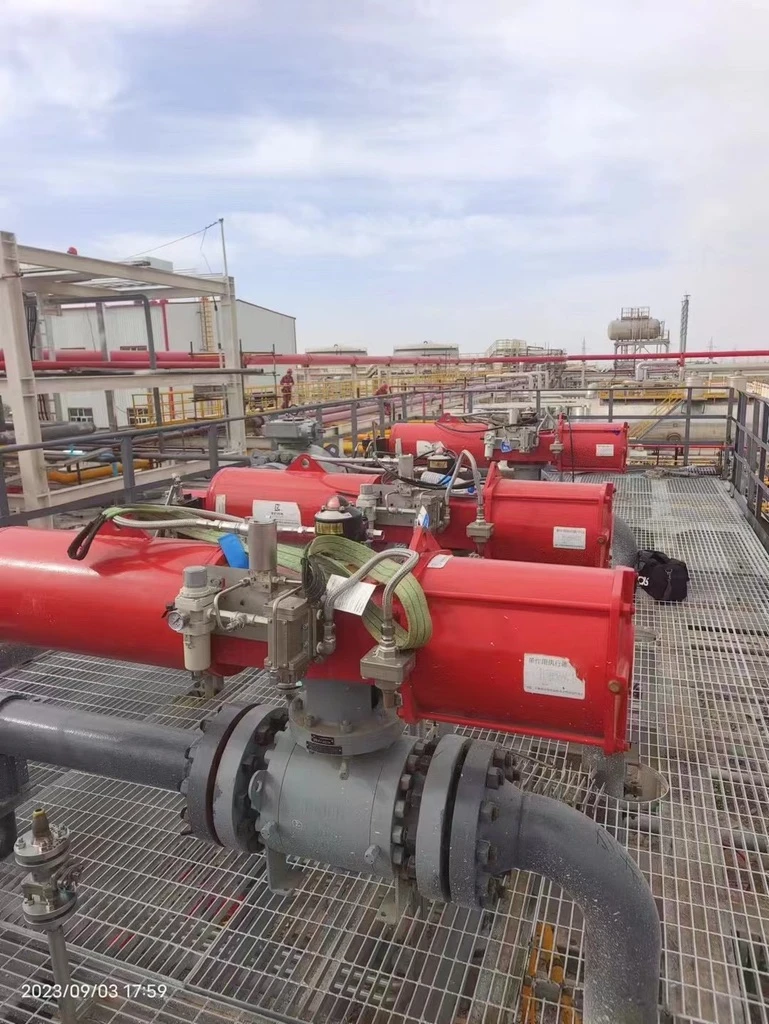 beier trunnion ball valve gyr51300 series